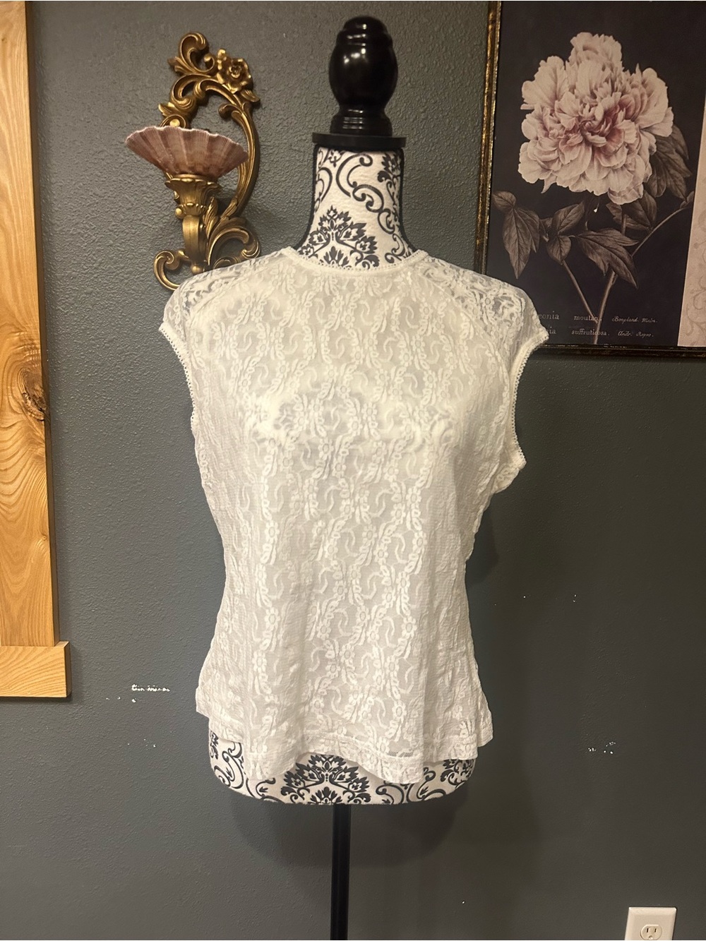 kathy ireland White Lace Cap-Sleeve Blouse